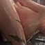 3D Camy doggy style creampie
