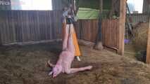 Das schmutzige Schwein wird geschlachtet ( Rollenspiel )