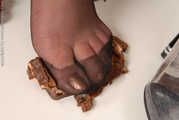 The Chocolate Thief