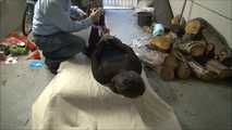 Paulette and Romy - The supposed gardener 2 part 5 of 8