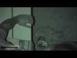 HIDDEN CAM AND FUCKING COUPLES