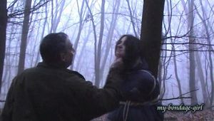 In the forest (3)
