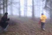 ab-132 Attack in the forest (1)