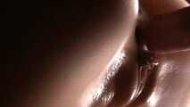 HORNY AMSTERDAM