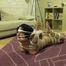 Her first ever supertight Hogtie !