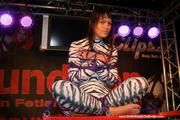 Yvette - taming the Zebra ?