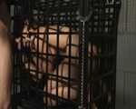 Classics: sex in a cage