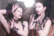 Fallen Angels