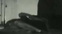 VOYEURFUN 1929