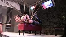 Spider Web Hogtie for Yvette