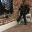 Latex give it all