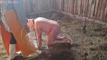 The dirty pig is slaughtered ( role play )