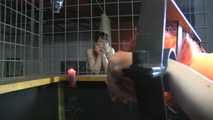 Jessy wird bespielt