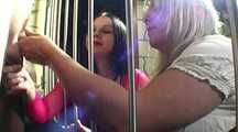 THICK UDDER HARD PUNISHMENT