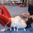 Nicky and Anja in Lycra and straightjackets 3