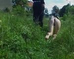 Bekehrung Clip 03