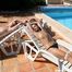 Julia, Yvette & Katarina – 3 Girls taking a Sunbath (Pictures)