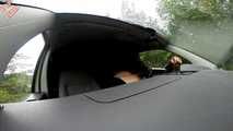BLOWDATE IN THE CAR