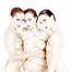 The Three Graces
