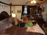 Bamboo pole