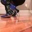 Latex Boot Catwalk