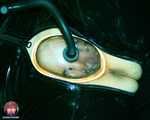 Pump it ip