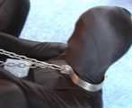ab-087 - Hanna´s Bondage Dream (2)