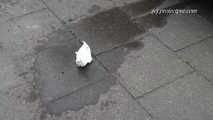 054002 Maja Pees In The Street