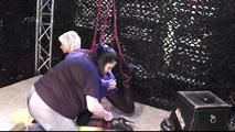 A new Challenge at the Fair