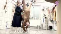 Clip #018 Slaughterday - How the butcher takes her little horny pig