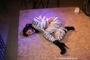 Taming the Zebra...