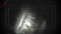 Sperm on Car