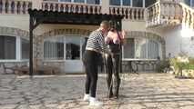 More Bondage Walk Training with tightly bound Tits for Slave Eva