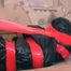 Liska über Kopf Müllsack mit rotem Klebeband verpackt (video)