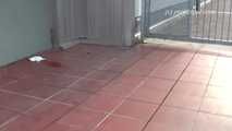 047016 Yassie Pees Outside A Fire Exit
