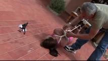 Katarina Blade - Supertight Hogtie Under The Spanish Sun