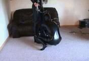 ab-074 Hot Girls - Heavy Bondage (1)