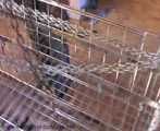 ab-107 Abducted Girls (3)