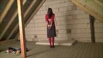 Susan - Wie alles begann Teil 1 von 9