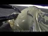 Horny Bronco