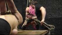 BoundCon XIV - Custom Photo Shooting 05 - Sasori & Bob vs. Breastslave S. & Nova Pink - Part 2 - Cam 1 - Focus on Breastslave