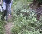 Janie caught in the Forest (1)
