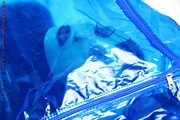 Blue Bag 2