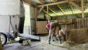 And another fat piece of bacon ( mock slaughter )