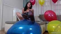clip no. 275