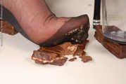 The Chocolate Thief