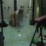 Naked house cleaning ...