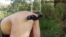 Humbler in the garden of pain