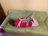 Hogtied Loredana part 2