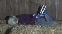 Elysa im hogtie 2/2